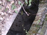 17Schwiger-Stern - Braun család